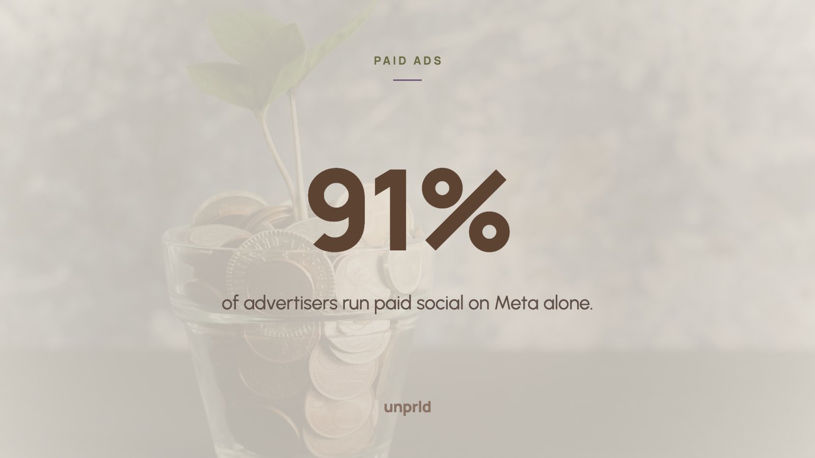 91% of advertisers run paid social on Meta alone.
